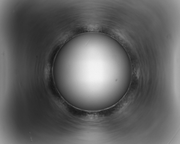 X0000088170744200705291931