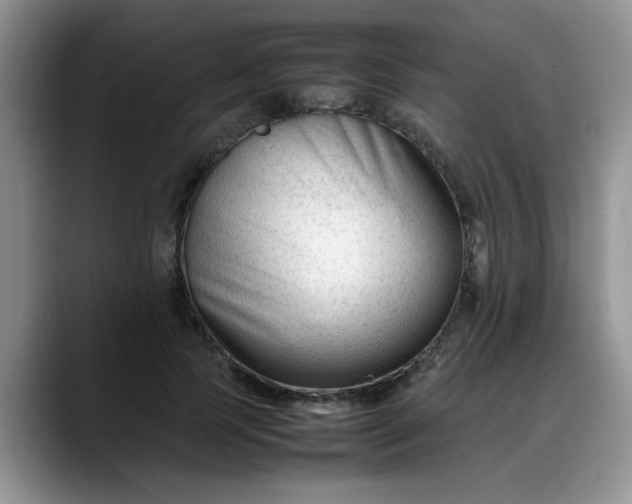 X0000088170745200705291931