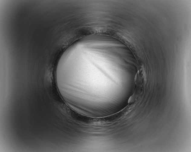 X0000088170746200705291931