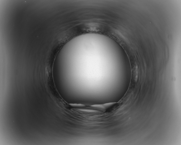 X0000088170747200705291931