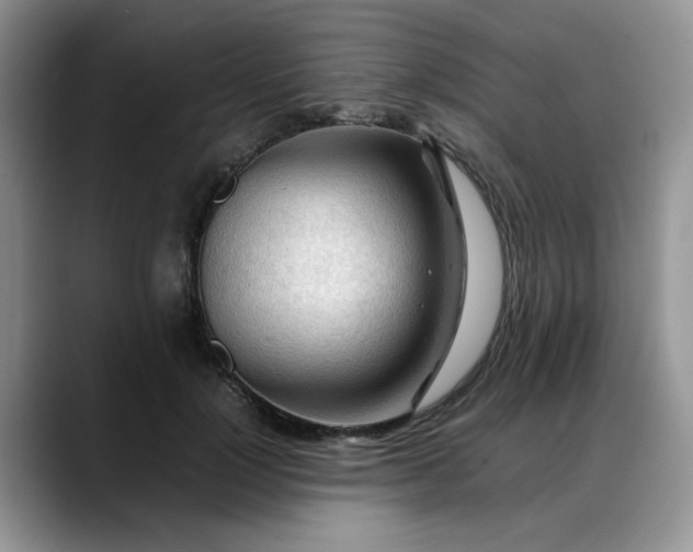 X0000088170748200705291931