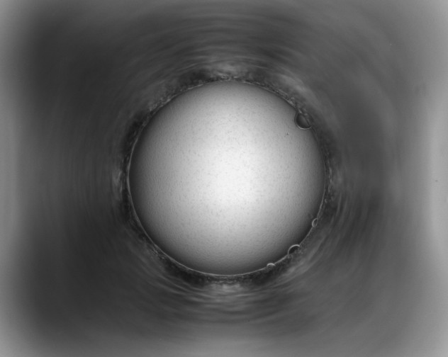 X0000088170749200705291931