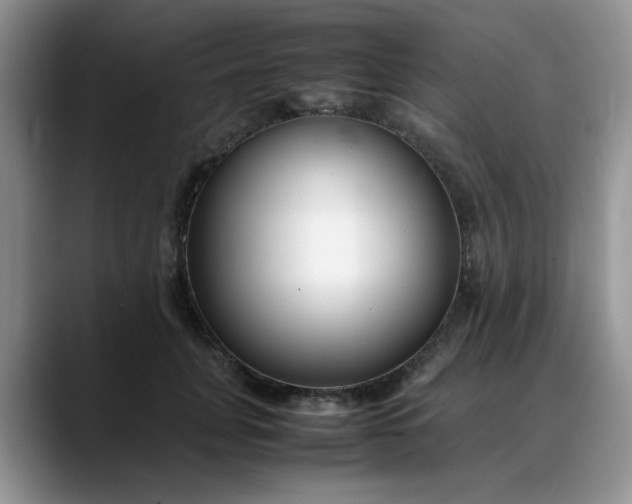 X0000088170751200705291931