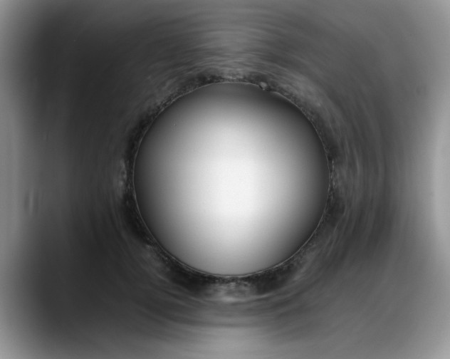 X0000088170752200705291931