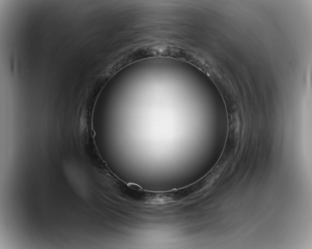 X0000088170754200705291931