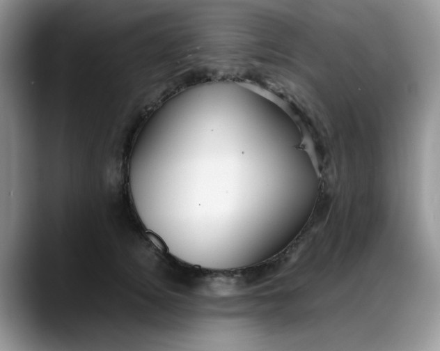 X0000088170756200705291931