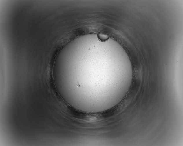 X0000088170757200705291931