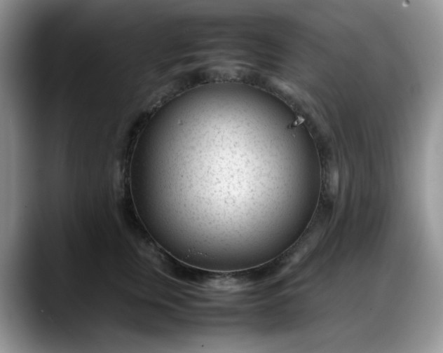 X0000088170759200705291931