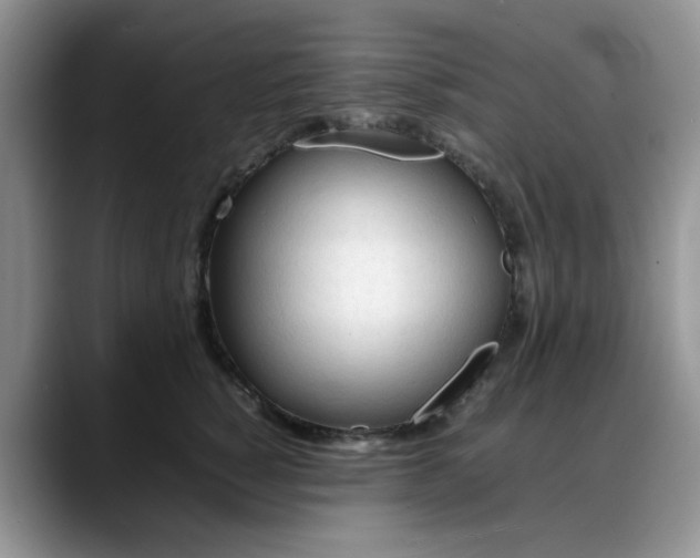 X0000088170760200705291931