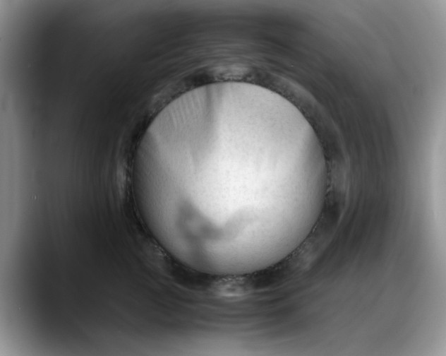 X0000088170761200705291931