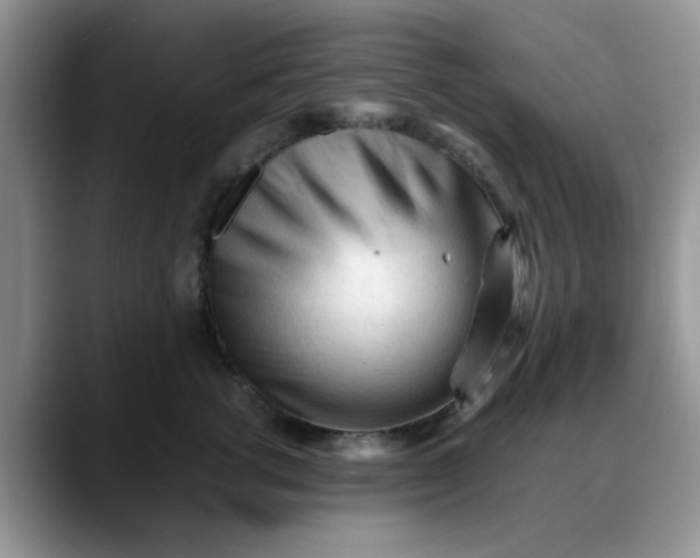 X0000088170762200705291931