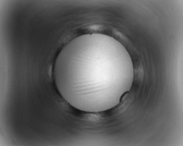 X0000088170765200705291931