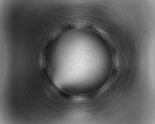 X0000088170766200705291931