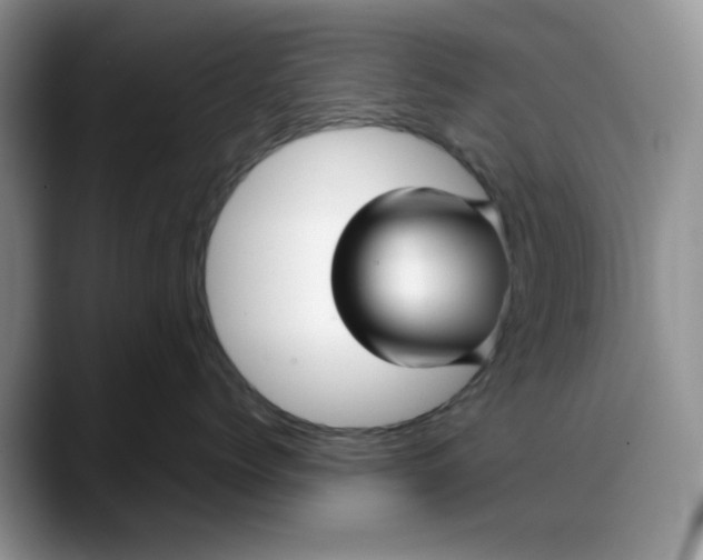 X0000088170768200705291931