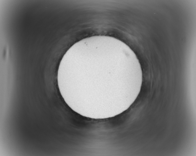 X0000088170769200705291931