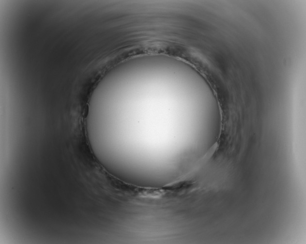 X0000088170773200705291931