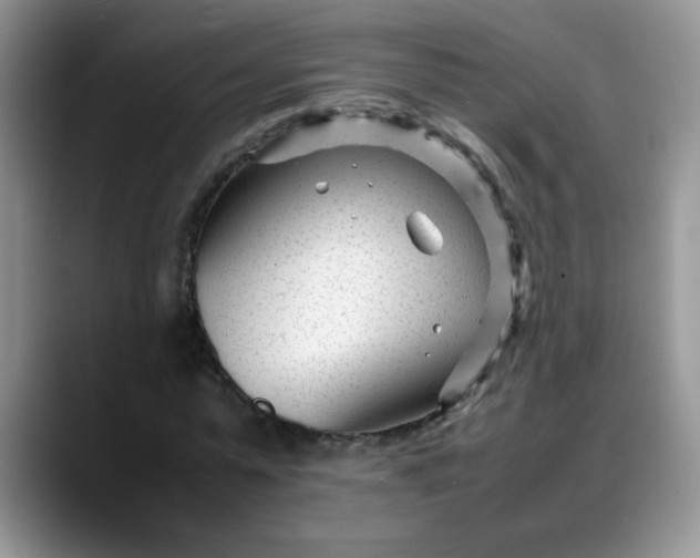 X0000088170775200705291931