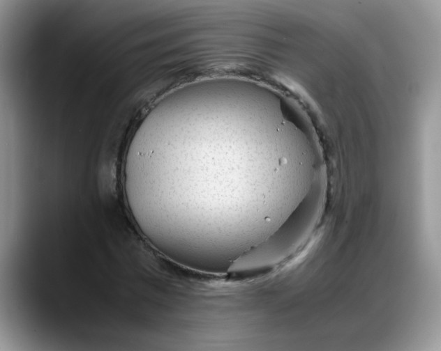 X0000088170777200705291931