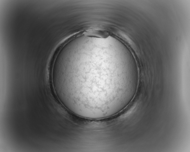 X0000088170779200705291931