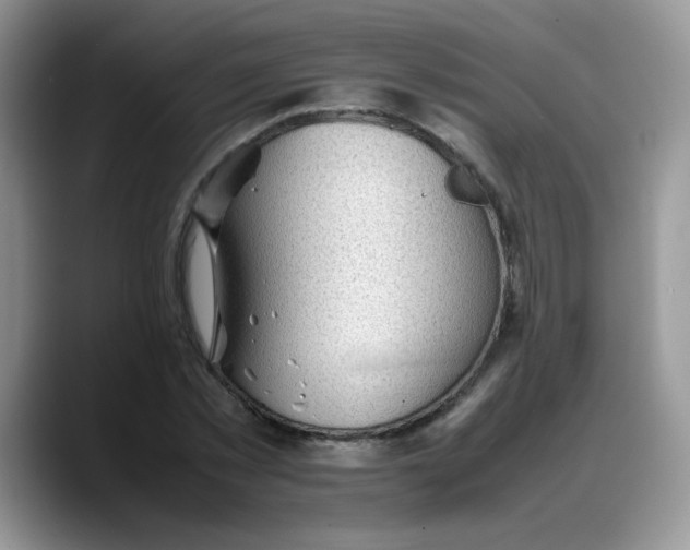 X0000088170781200705291931