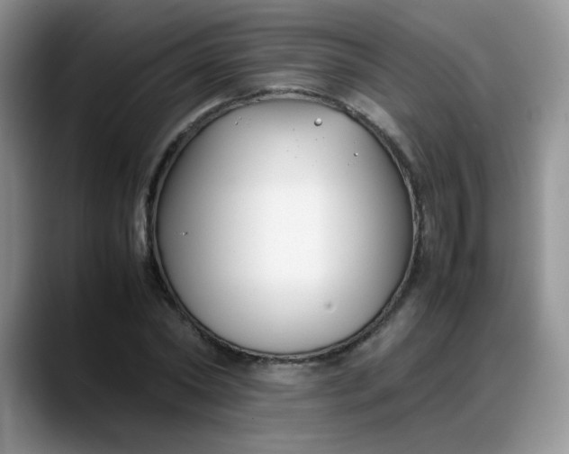 X0000088170782200705291931