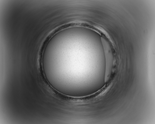 X0000088170783200705291931