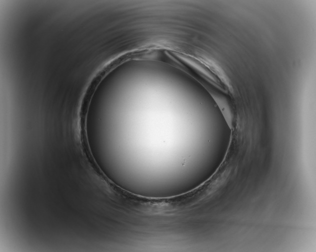 X0000088170784200705291931