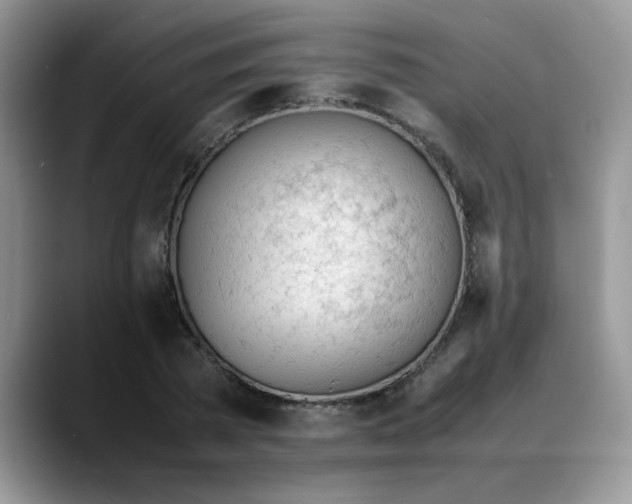 X0000088170785200705291931