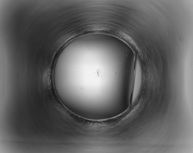 X0000088170786200705291931