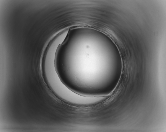 X0000088170788200705291931