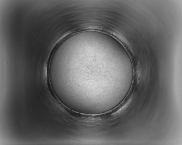 X0000088170790200705291931