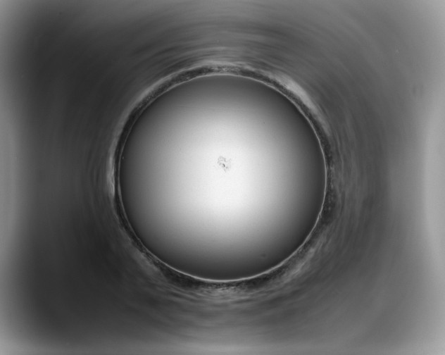 X0000088170791200705291931