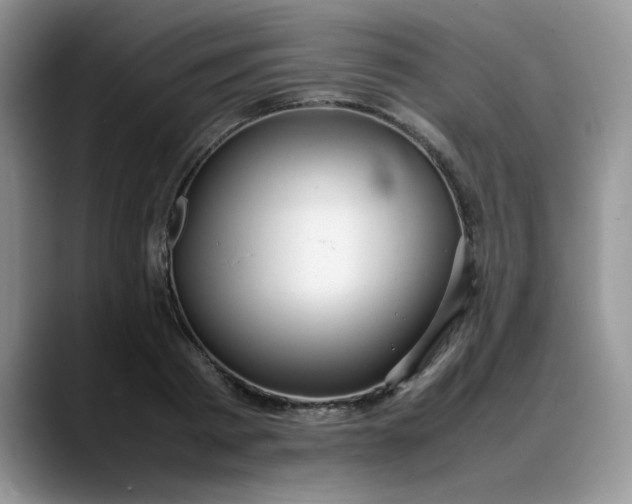 X0000088170793200705291931