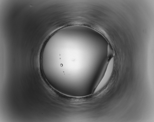 X0000088170795200705291931