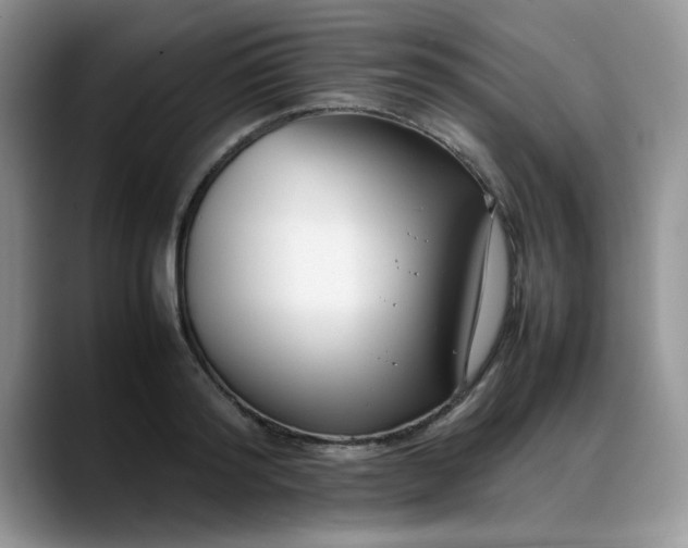 X0000088170796200705291930