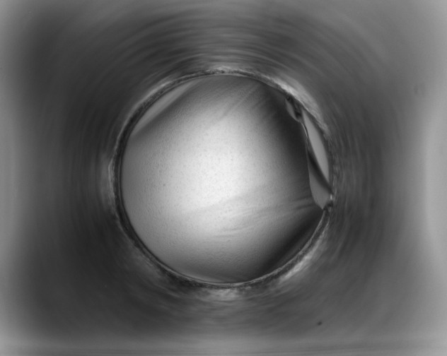 X0000088170798200705291930