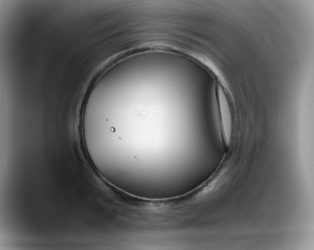 X0000088170799200705291930