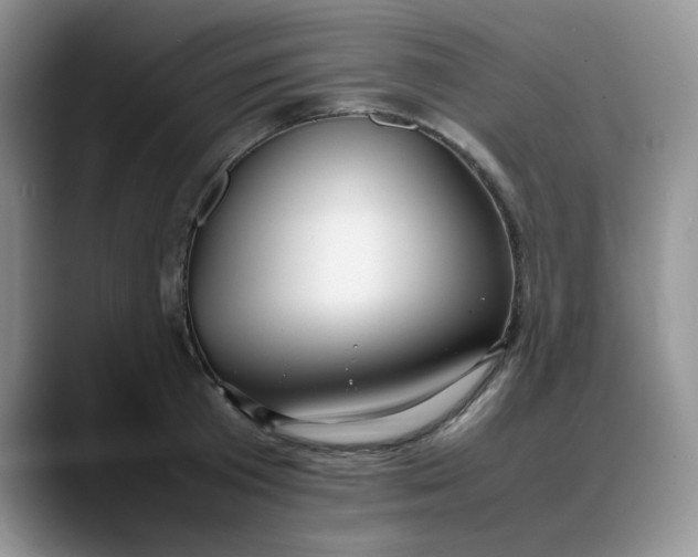 X0000088170801200705291930