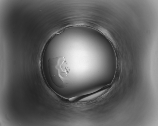 X0000088170805200705291930