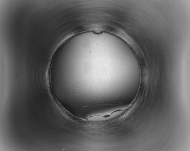 X0000088170806200705291930