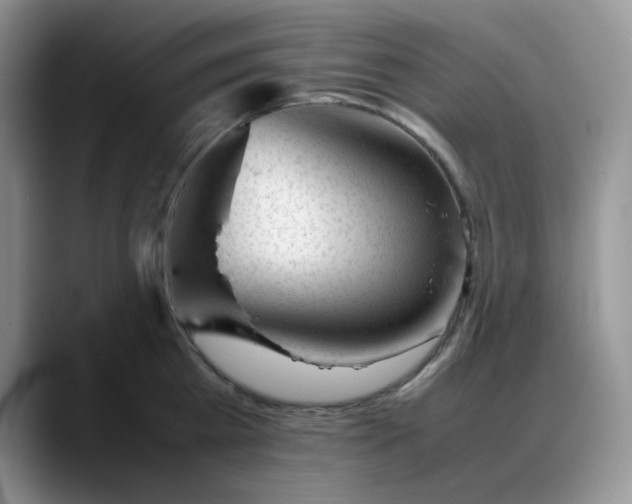 X0000088170809200705291930