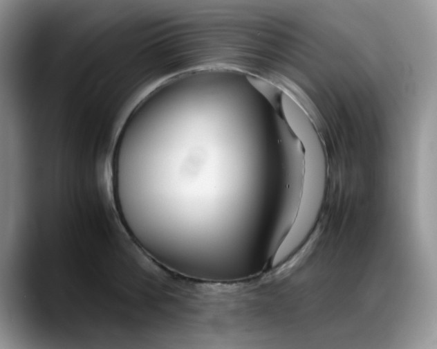 X0000088170812200705291930