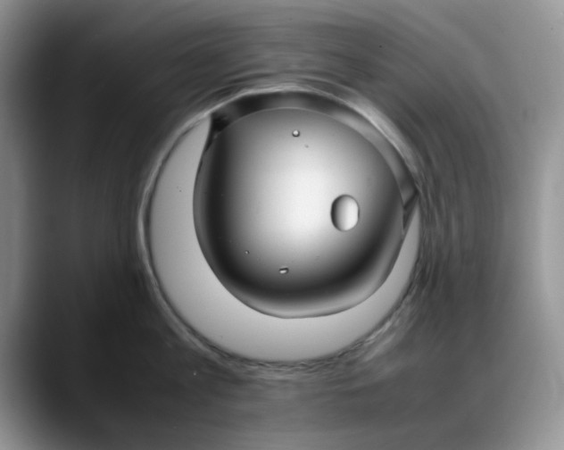 X0000088170813200705291930