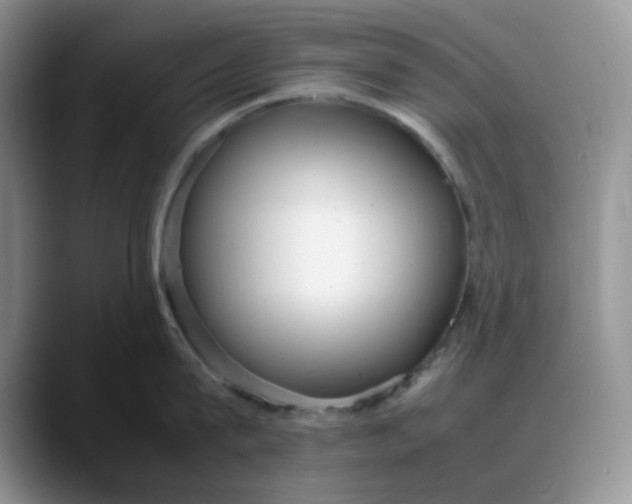 X0000088170815200705291930