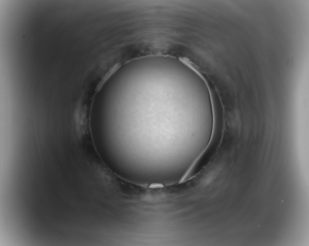 X0000088170818200705291930