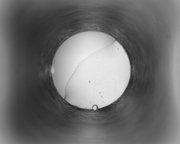 X0000088170820200705291930