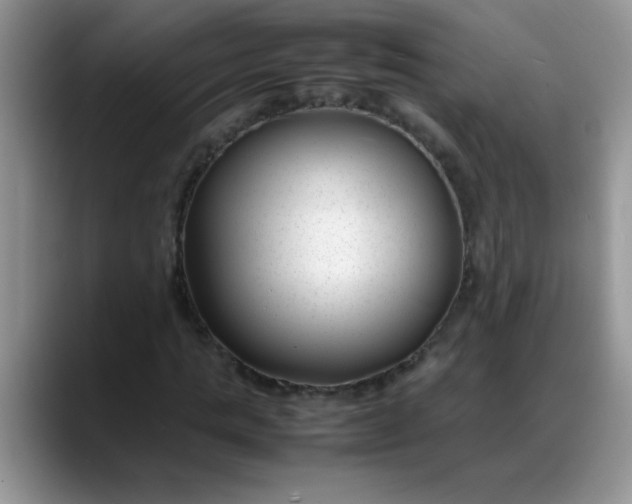 X0000088170821200705291930