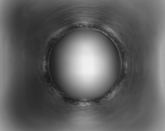 X0000088170822200705291930