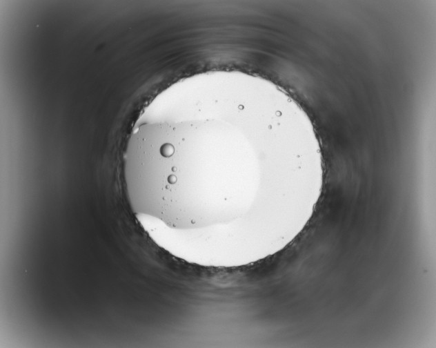 X0000088170824200705291930