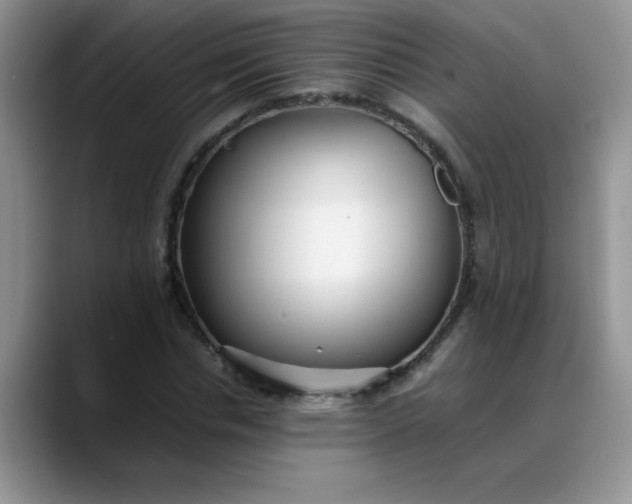 X0000088170826200705291930